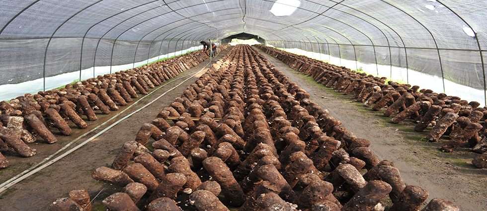 Űǅ^悏RYЙCʳþLϲ