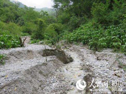 ʯʯą^FDƬĴʡAؽO؟ι˾ṩ