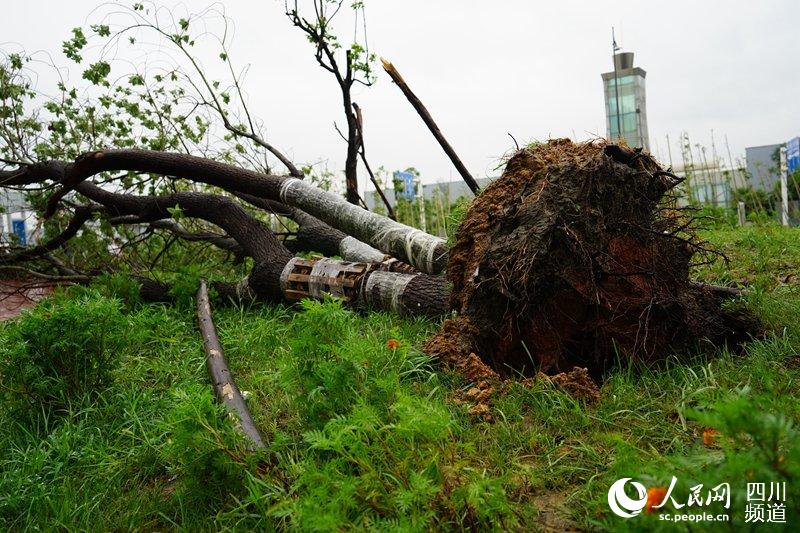 ɶp^dһ@ô䱻۔d z 