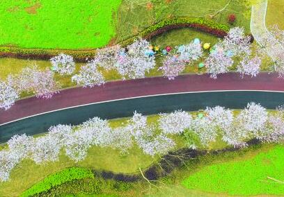 üɽӭpѼ
ꖴp̤Õr3182019ĴܣBιߵüɽѻüɽѻ[@e_Ļʽڶüɽ|HRِҲԽüɽѻ[@