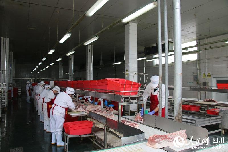 ���ߡ����g�Գ����a���������F�T��ʿ�����i�����a܇�gһ�����F�T��ʿ���F���D