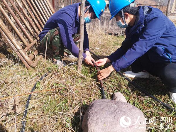 @վˆT鸽ؚrbˮԴ·ĴͶFD