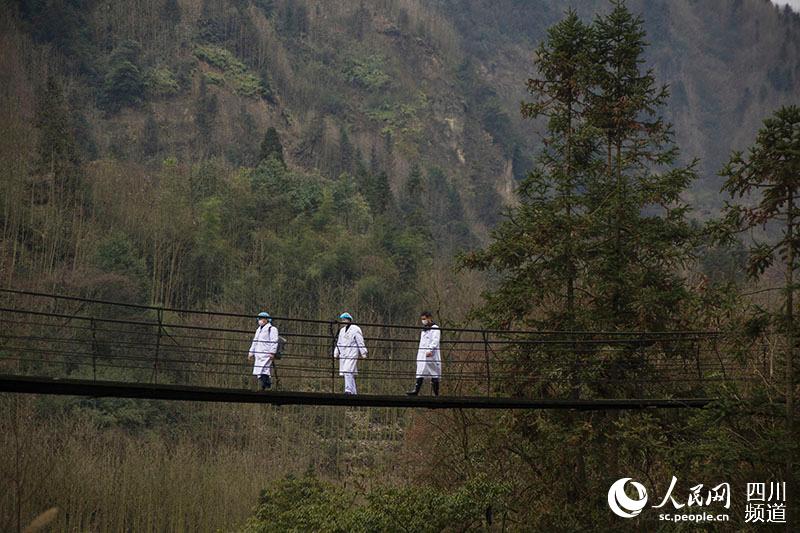 202026ɶɽFβ z