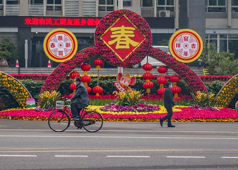 202021Y㽭ֵϵӭL z