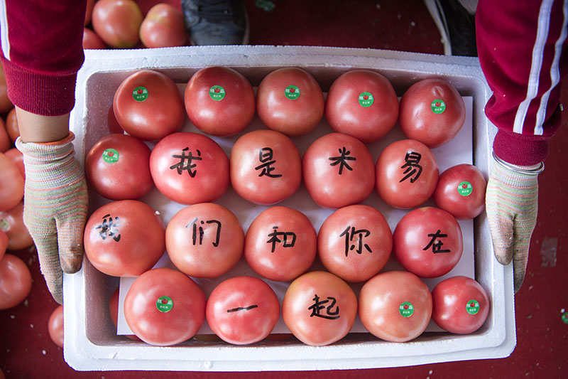 202027֦׿hԮt| z