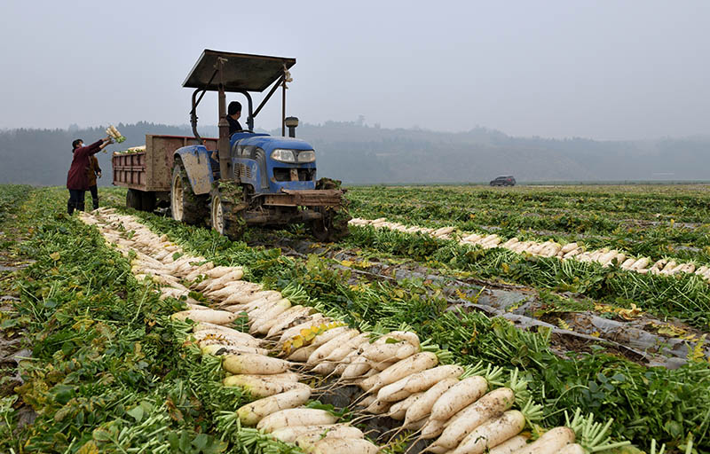 2020226ϳм^rճİ_y z