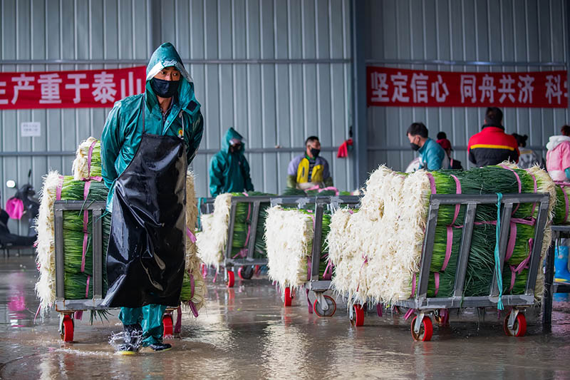 2020227Իɽݵ²hͶMС[Ј z 