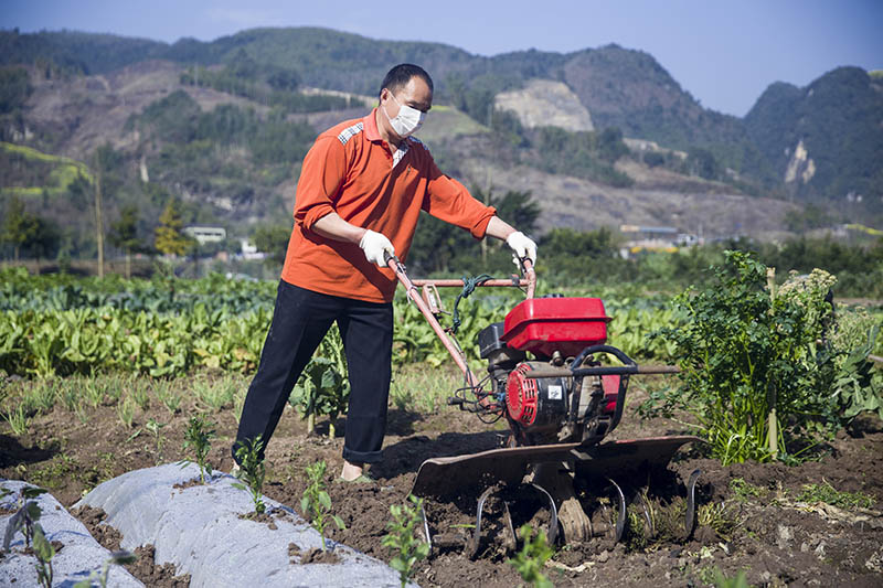 2020229ɽ崨hwδڴƽ z