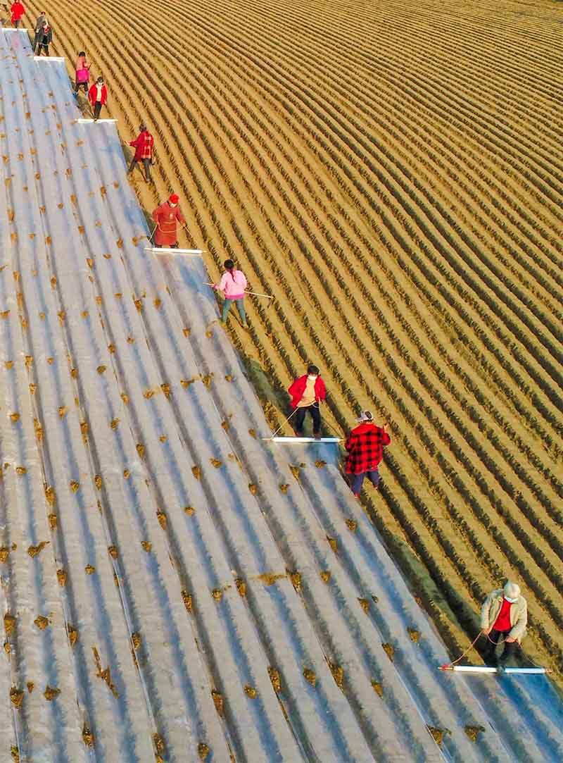 2020 211쌎ĳrIaI@ڄӈ z