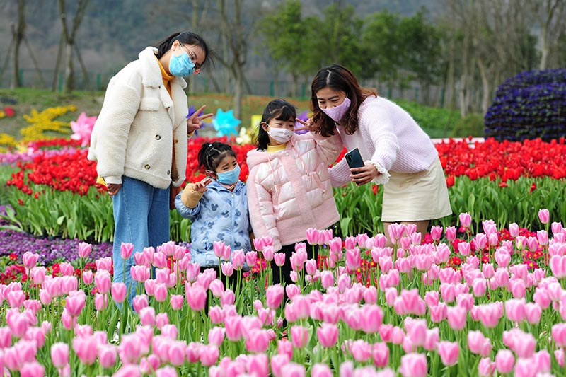 2020221ɶͨ򹫱֏_mӢ z