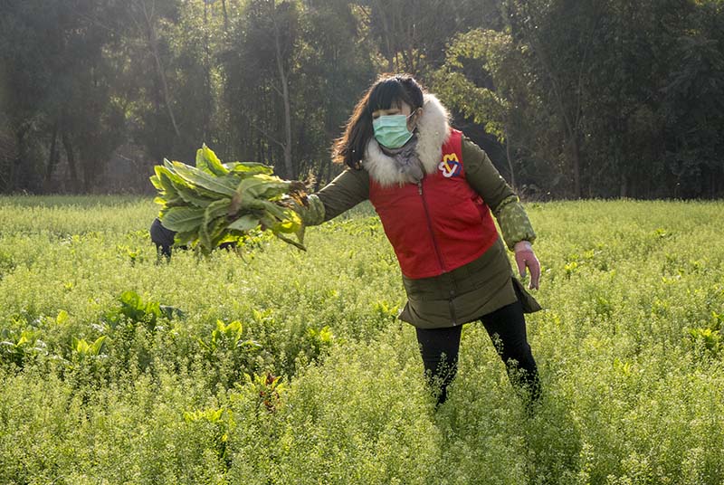 2020216нhAժ˵Ĵ z