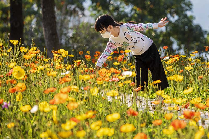 2020222֦׿h@pСŮꖭ z