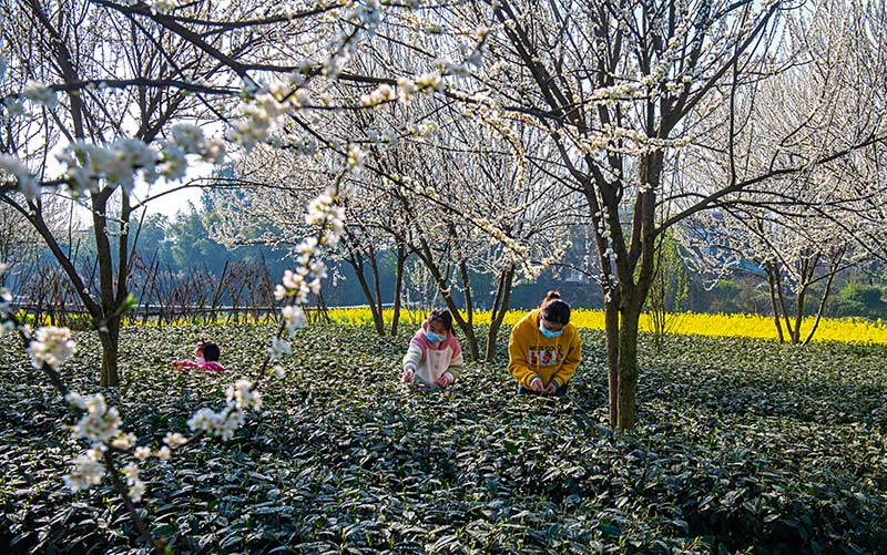 2020229ſhֹƺڲɲΝɭ z