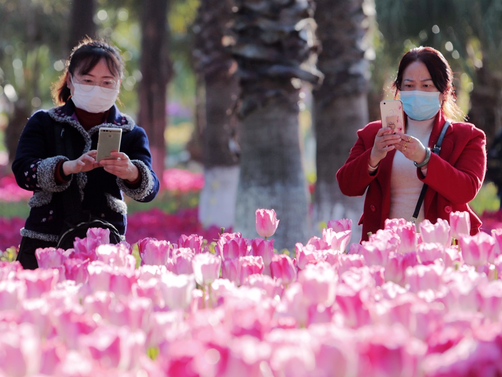 2020229ع@ʢ_ο߅B z