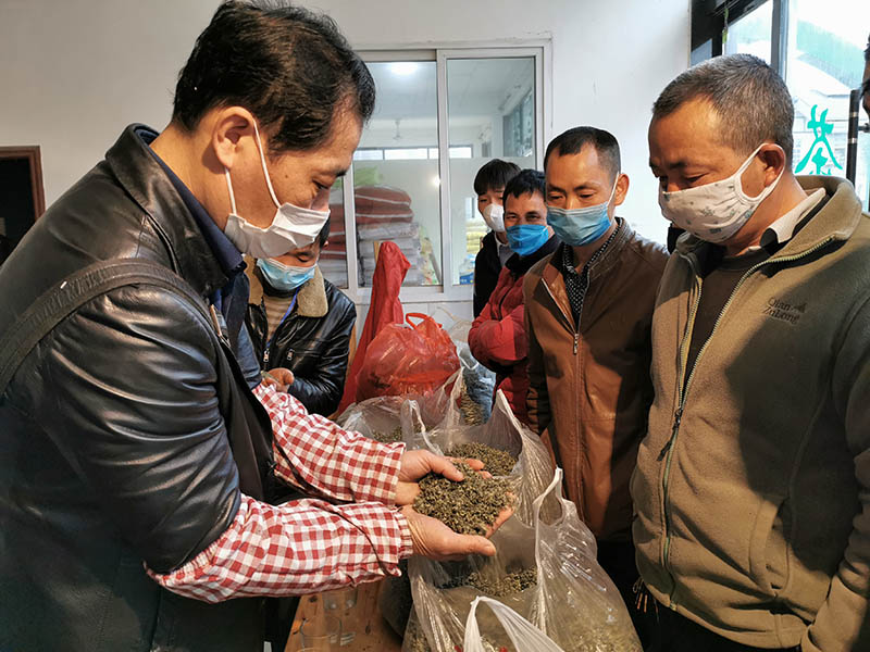 202032üɽſhɽ悲~Ј_еڶزղ z