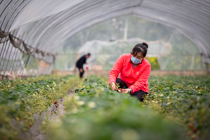 202031ؕИshlĲݮA z