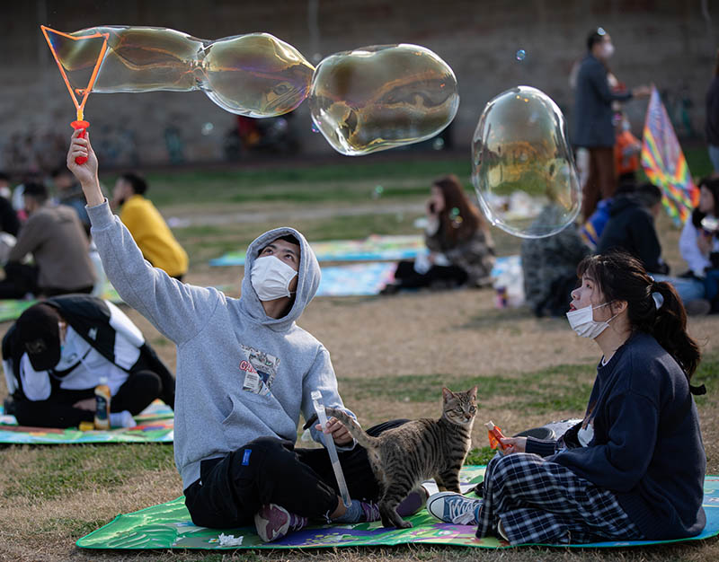 202034dFţVϯˣһHϼ z