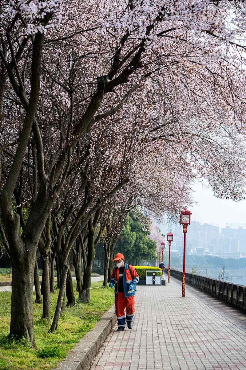 2020226üɽЖ|^I·-z