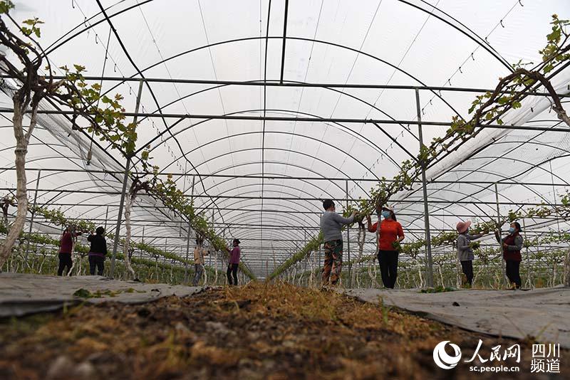 2020226üɽɽ^fʾ@عڞ_Ѷ֦ĨpѿԬ־ z