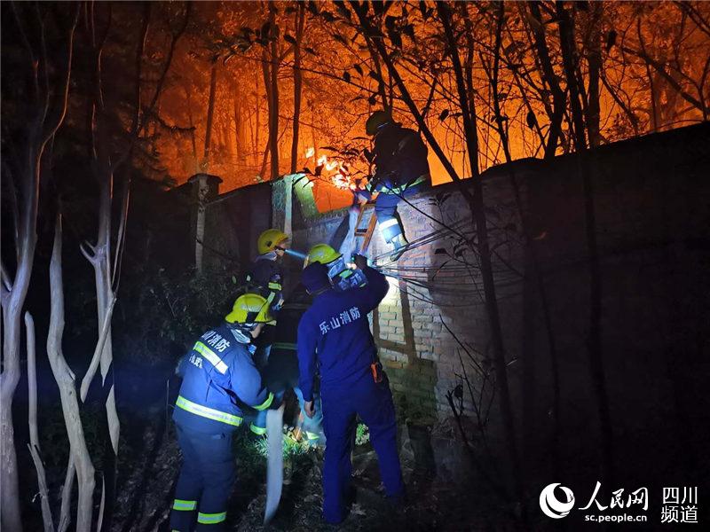 41賿ɽoɽж̎cmȼĴD