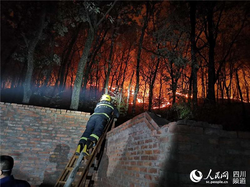 41賿ɽoɽж̎cmȼĴD