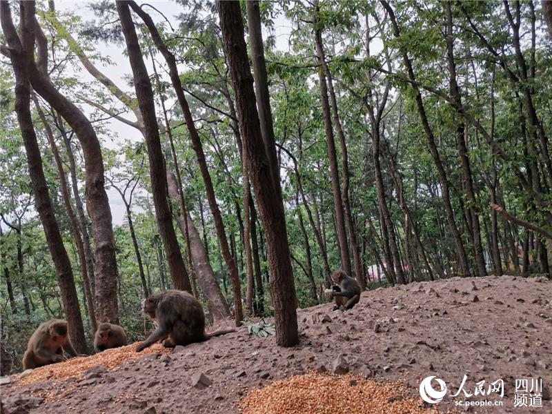 ĴнlɭֻɞoɽȺɽxoɽ̎׃Ͷʳc_ȺȫýwĹD