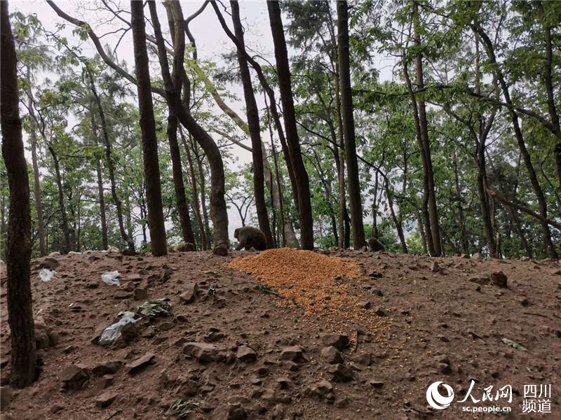 ĴнlɭֻɞoɽȺɽxoɽ̎׃Ͷʳc_ȺȫýwĹD