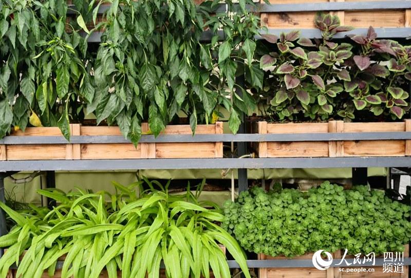 ĴƵrI˾lđBѭhrIϵy׌еĸߘǴBLϹ߲׌~cӼxG D