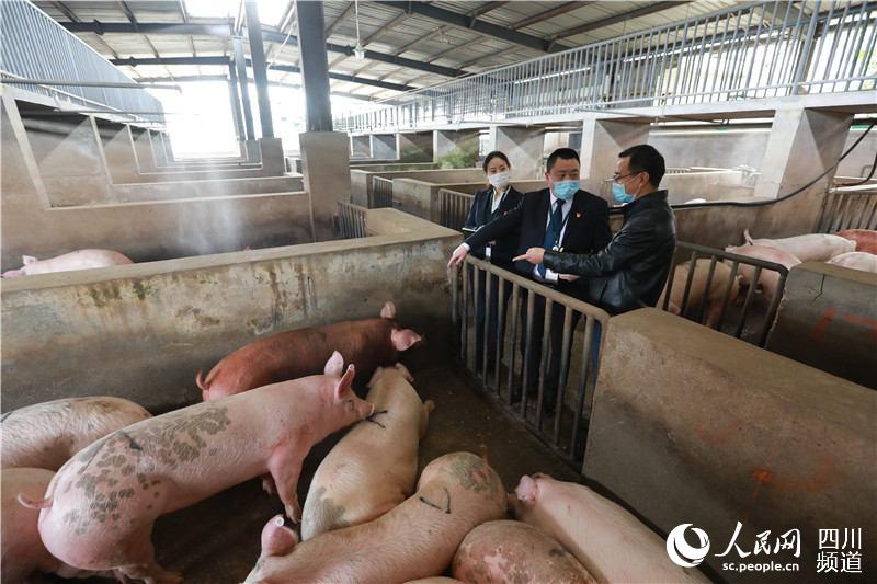 BҲPϵlչgɶryмӴˌ״ӡ˻@ӡ@ӡЈϹPИIY20203ɶry֧ĴʳƷ˾o1000fԪڲُiDԓйˆTڽʳƷ˾MJǰ{