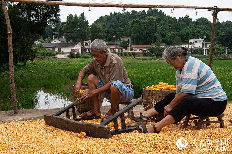 ؎X3ݹǧԼԺÓ z