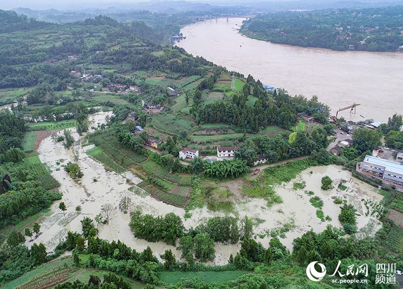 812YϽذlփȝ