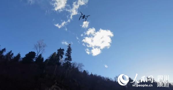 С͟o˙C_չѲwĴʡdD