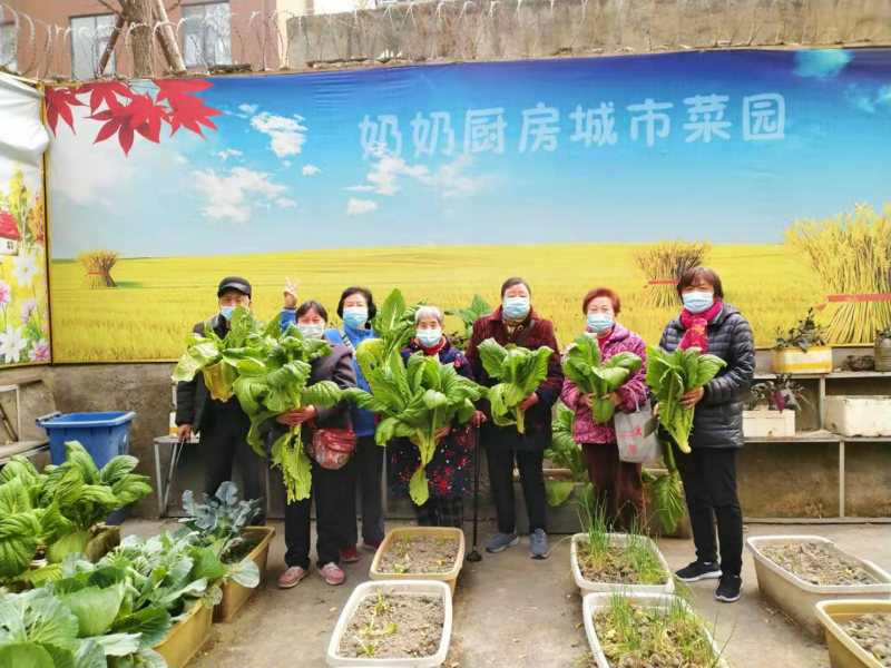 gֵ̏Nˈ@S̂d߲Mвժ־Ը߹D