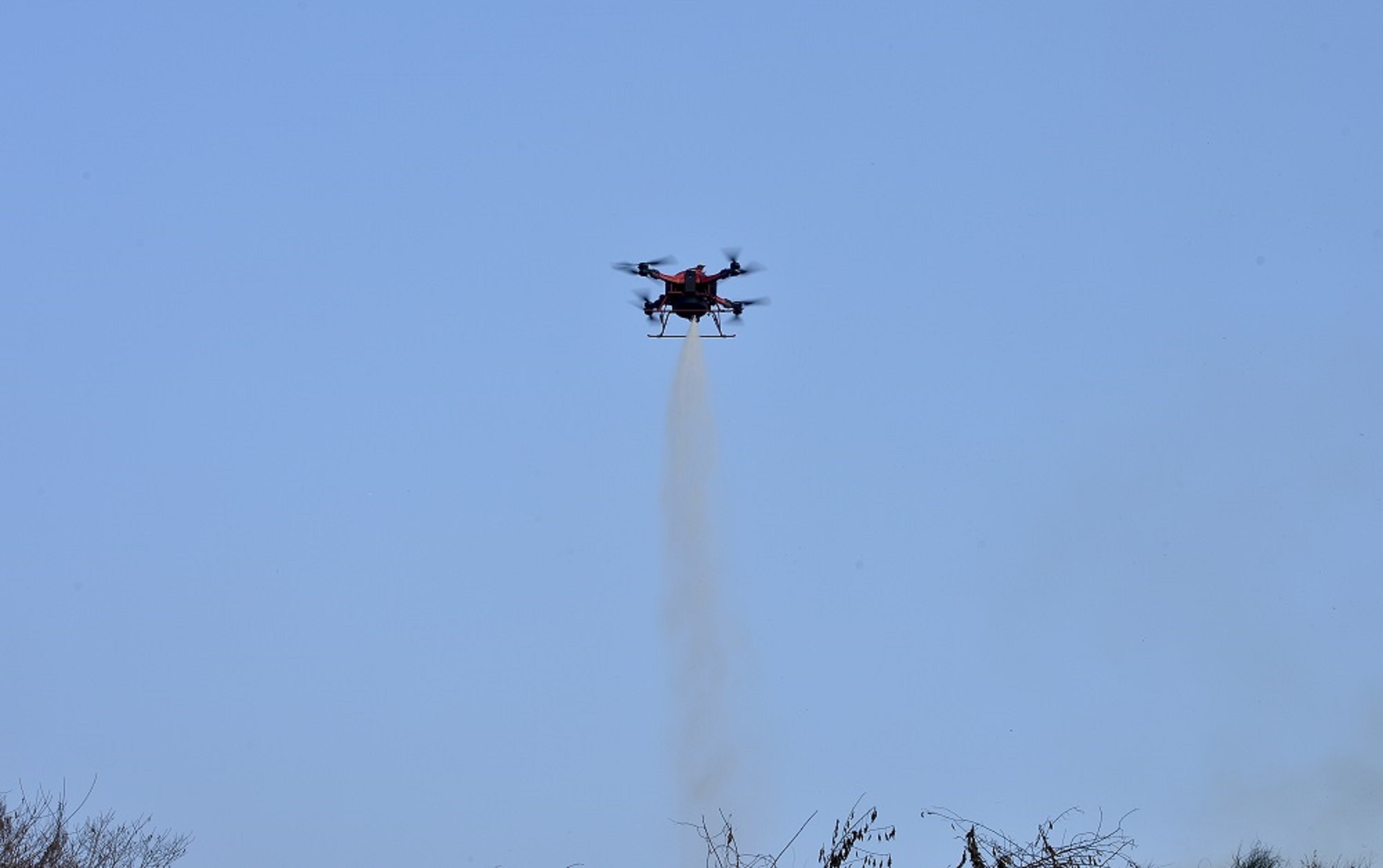 ݾFIo˙Cʩ߿՜ɶБֹD