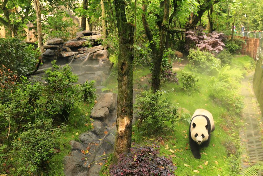 ؈ȵĴ؈ɶ؈оعD