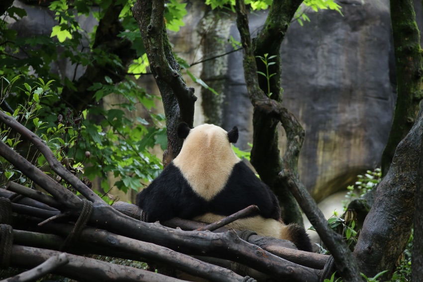 ؈ȵĴ؈ɶ؈оعD