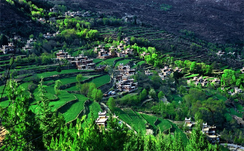 Їl塪ͲկͿhίD