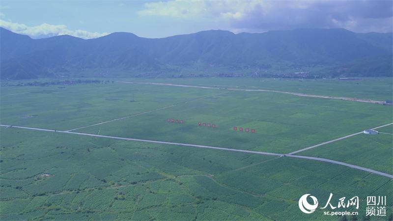 ěɽጎfFrI@^W ӛƽz