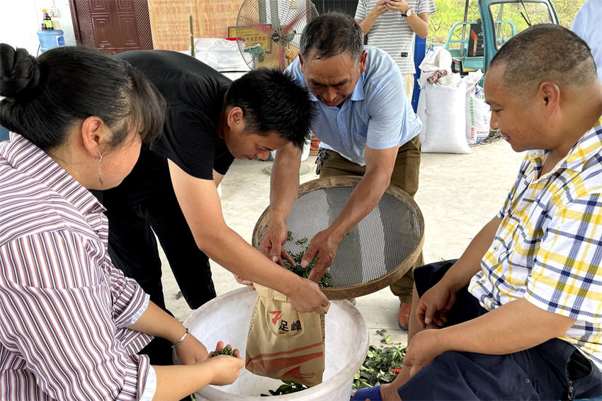 Ľв໨ȺohýwĹD