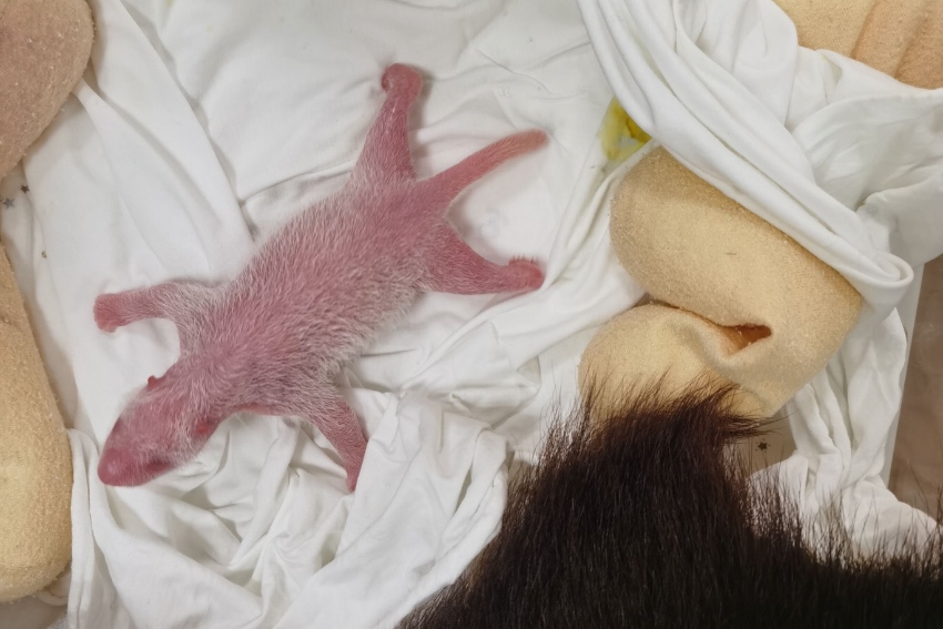 ؈KɺЇ؈oоĹD