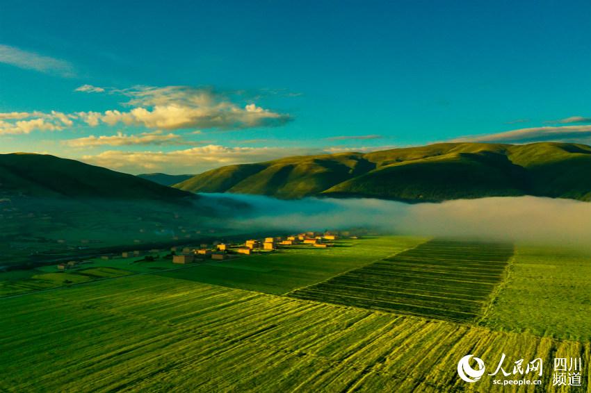 ˮһɫCȻѩ|z