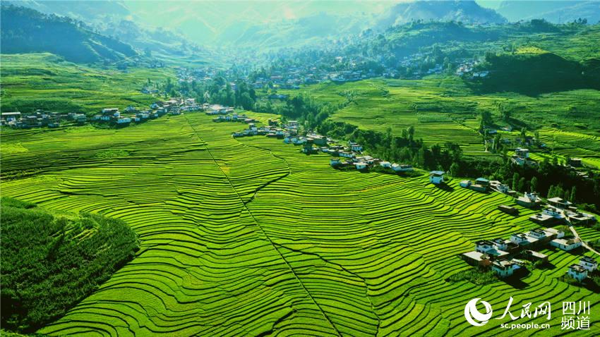 ɽݸhղfӭSռζz