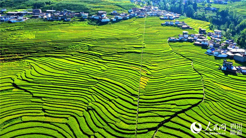 ɽݸhղfصһоGɫԊζz