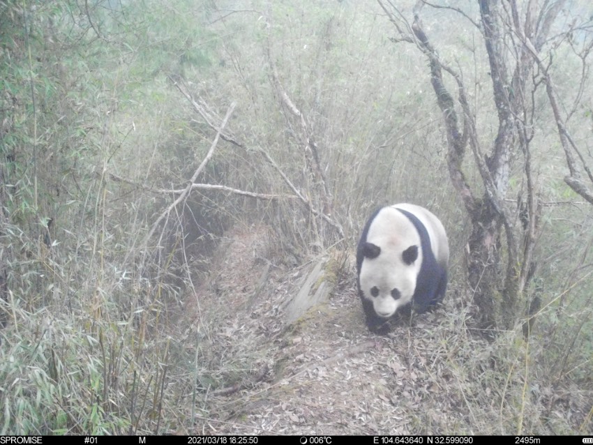 tCβ׽؈Ӱ؈ҹ@VԪ־ƼҺƬ^D