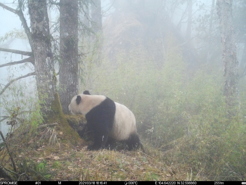 tCβ׽؈Ӱ؈ҹ@VԪ־ƼҺƬ^D