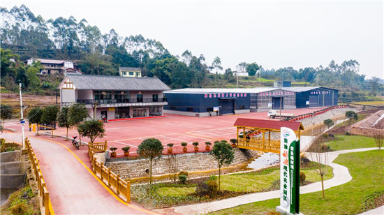 sh^ɽ悰塰ơԇshhίMD