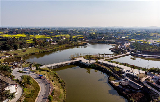 shpʯ悲̼ߴ¹hshhίMD