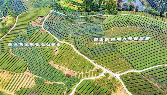 shʯSϲ~FrI@^Ĳһ־ȫz