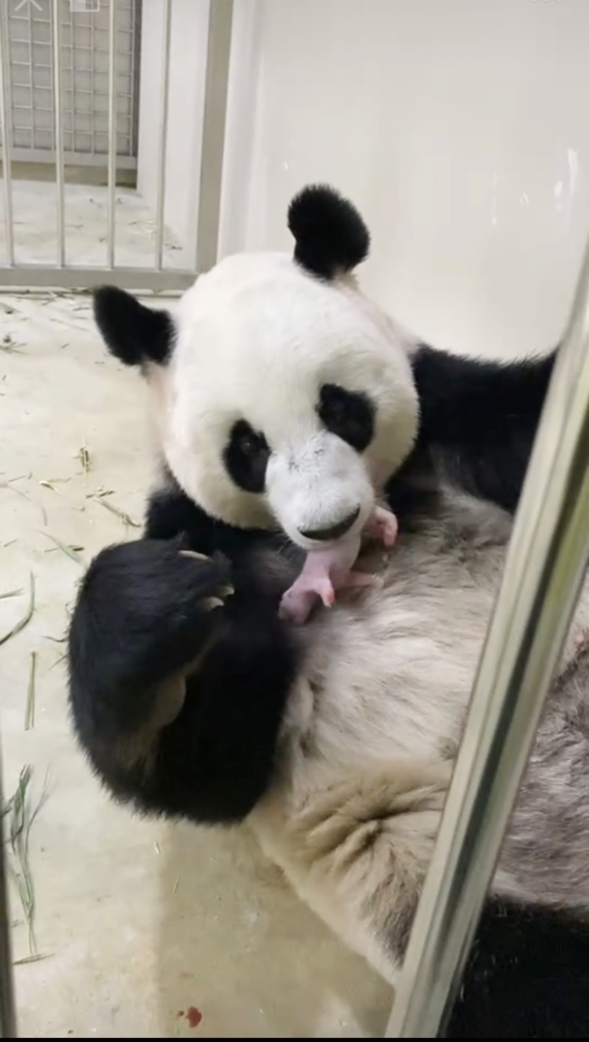 þ¼µĴ؈aֻ؈DƬҕl؈D