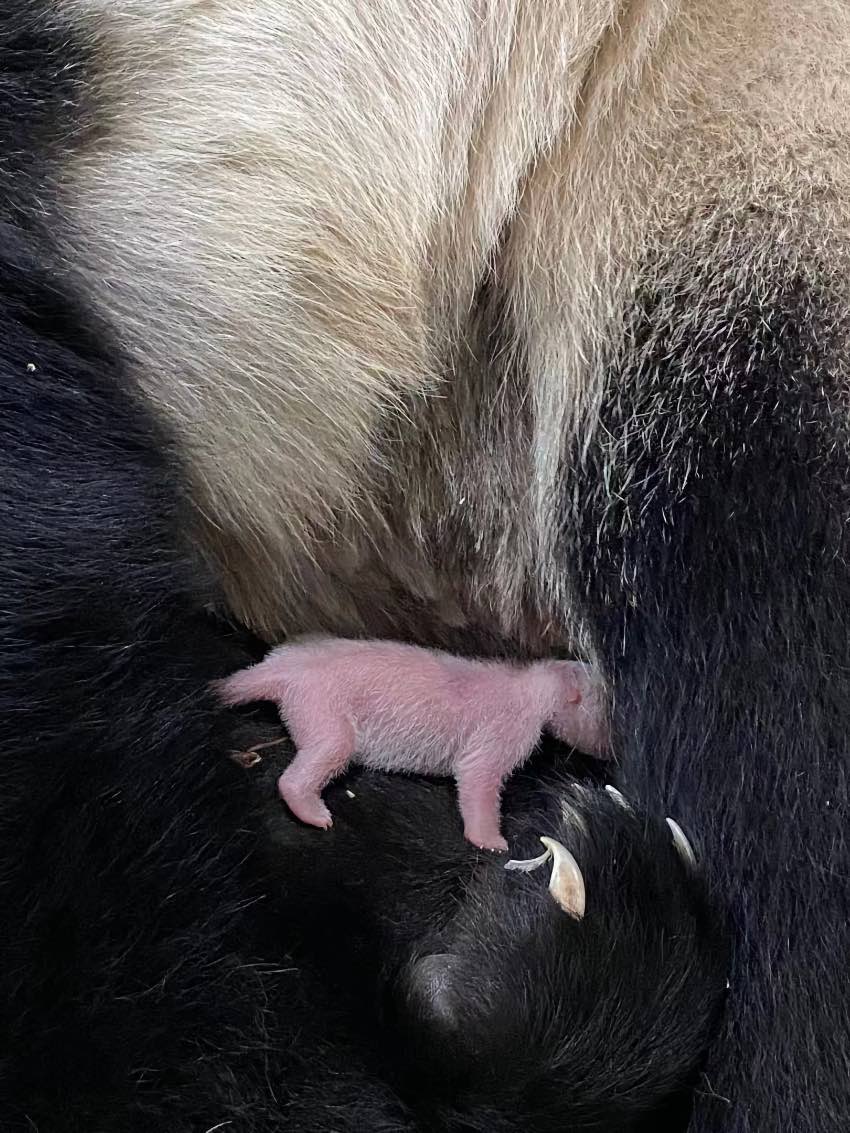 þ¼µĴ؈aֻ؈DƬЇ؈oоṩ